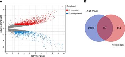 Identification and validation of ferroptosis-related gene signature in intervertebral disc degeneration